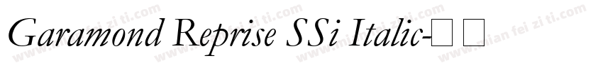 Garamond Reprise SSi Italic字体转换